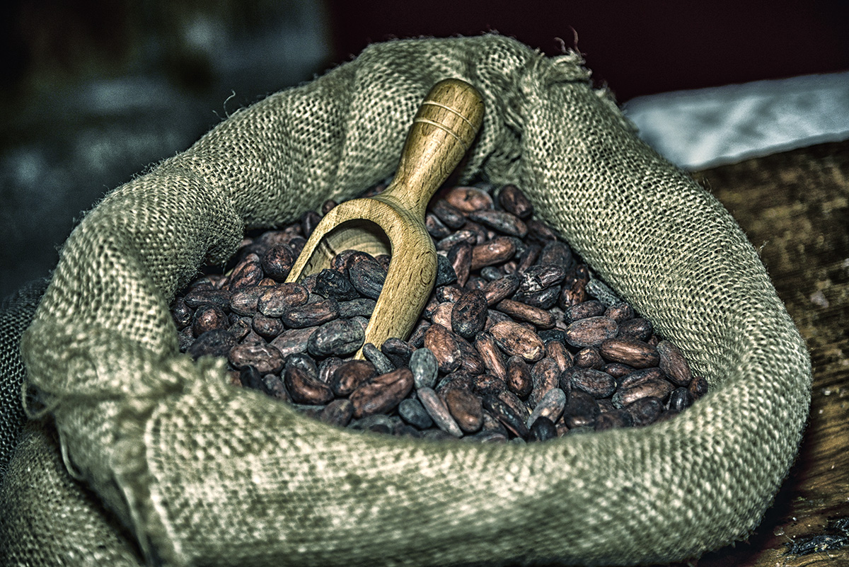 Foodfotografie Kakaobohnen im Juten Sack